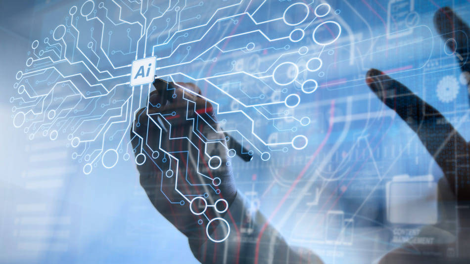 Asistencia humana al uso de redes neuronales