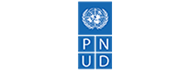 pnud-1 (1)